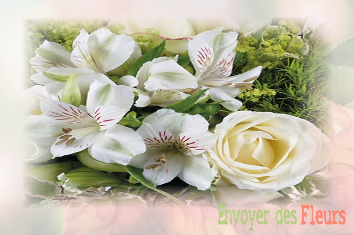 envoyer des fleurs à à SALLES-LAVALETTE